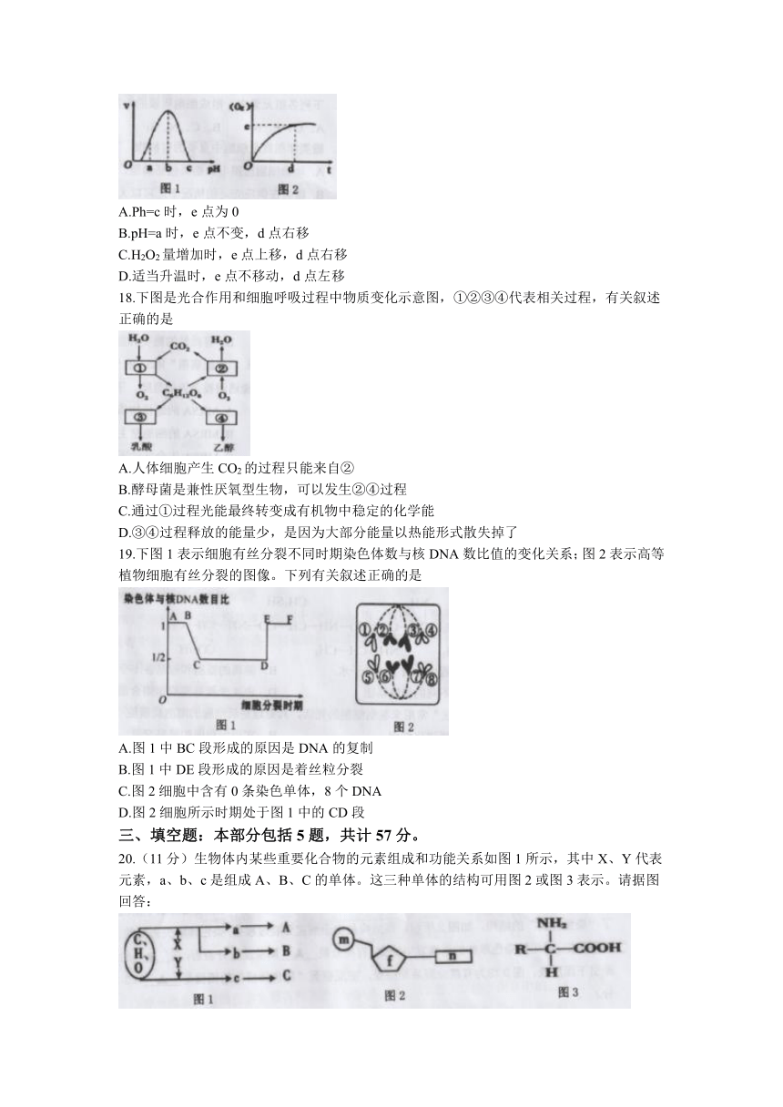 江苏省宿迁市2022-2023学年高一上学期期末考试生物学试题（含答案）