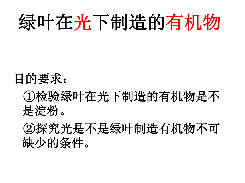 人教版生物七年级上册 3.4 绿色植物是生物圈中有机物的制造者  课件2022--2023学年  (共20张PPT)