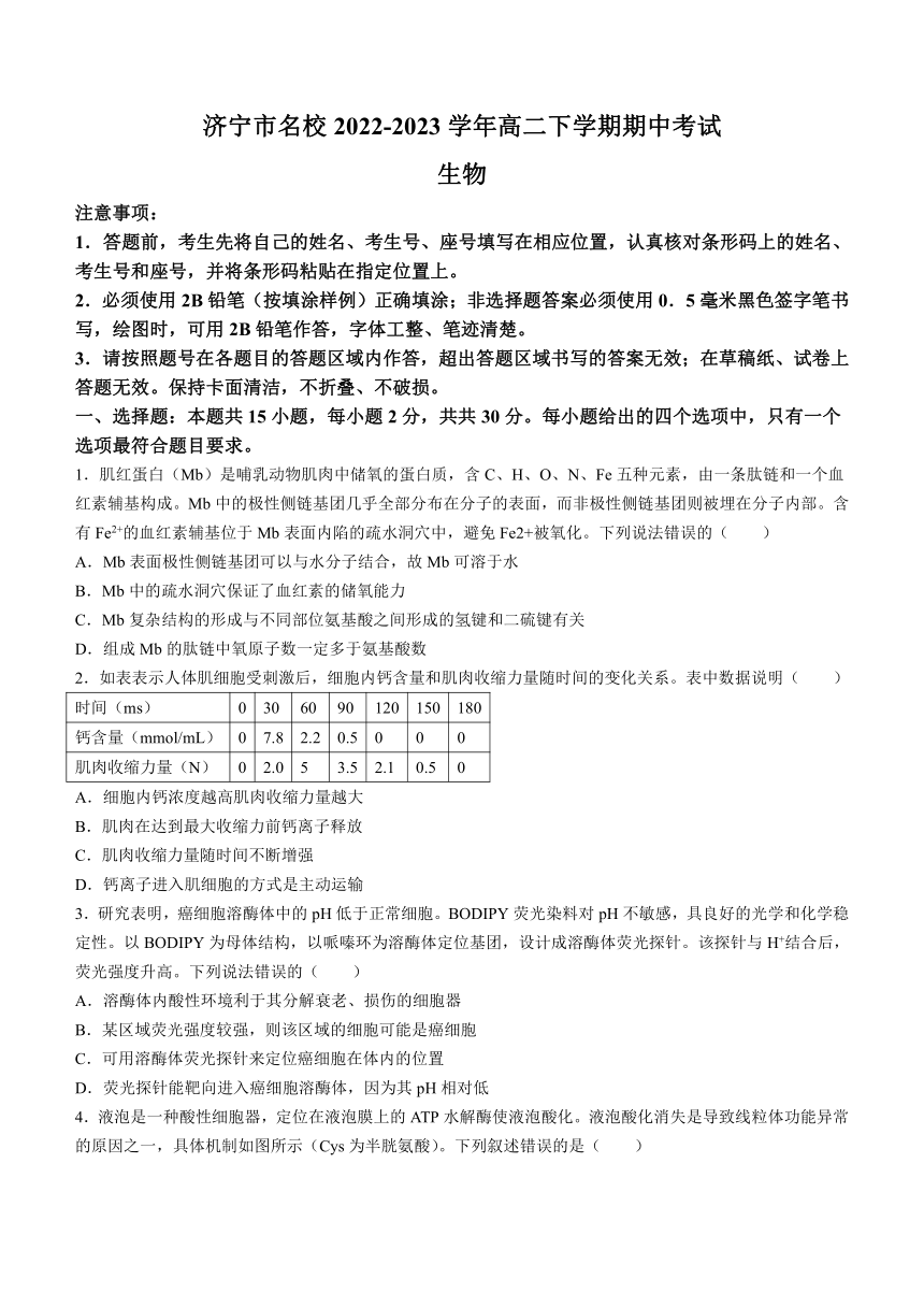 山东省济宁市名校2022-2023学年高二下学期期中考试生物学试题（Word版不含答案）