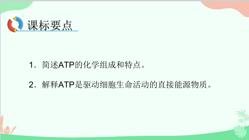 高中生物人教版(2019)必修1 5.2 细胞的能量“货币”ATP 课件（66张ppt）