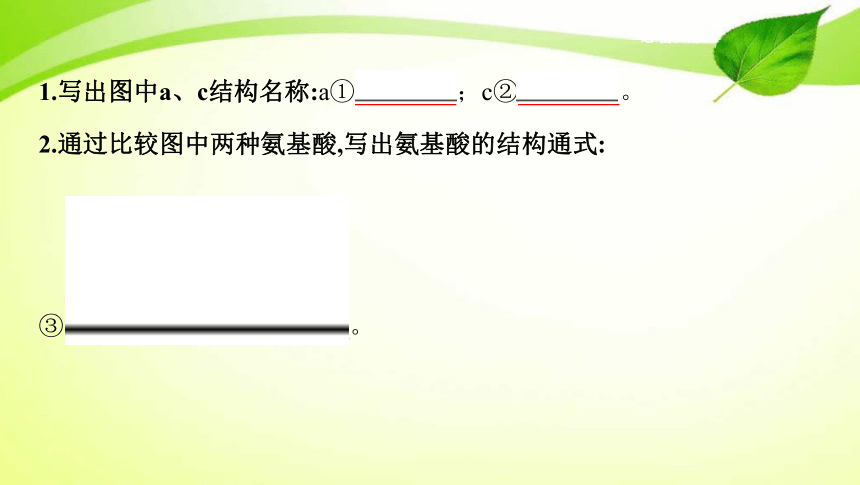 高考生物专题课件3：蛋白质、核酸、糖类和脂质(共72张PPT)