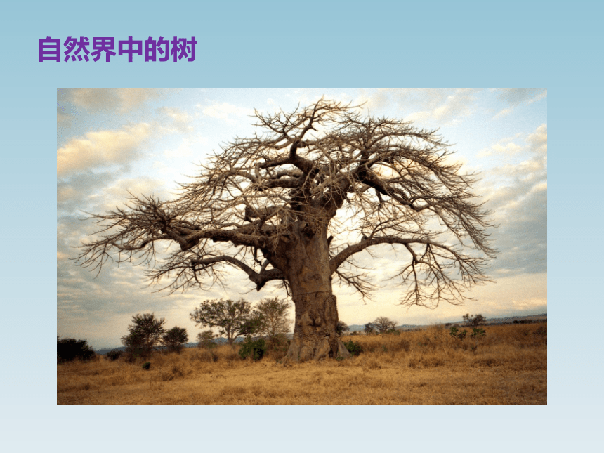 江西美术版小学三年级美术上册《神奇的大树》参考课件(共14张PPT)