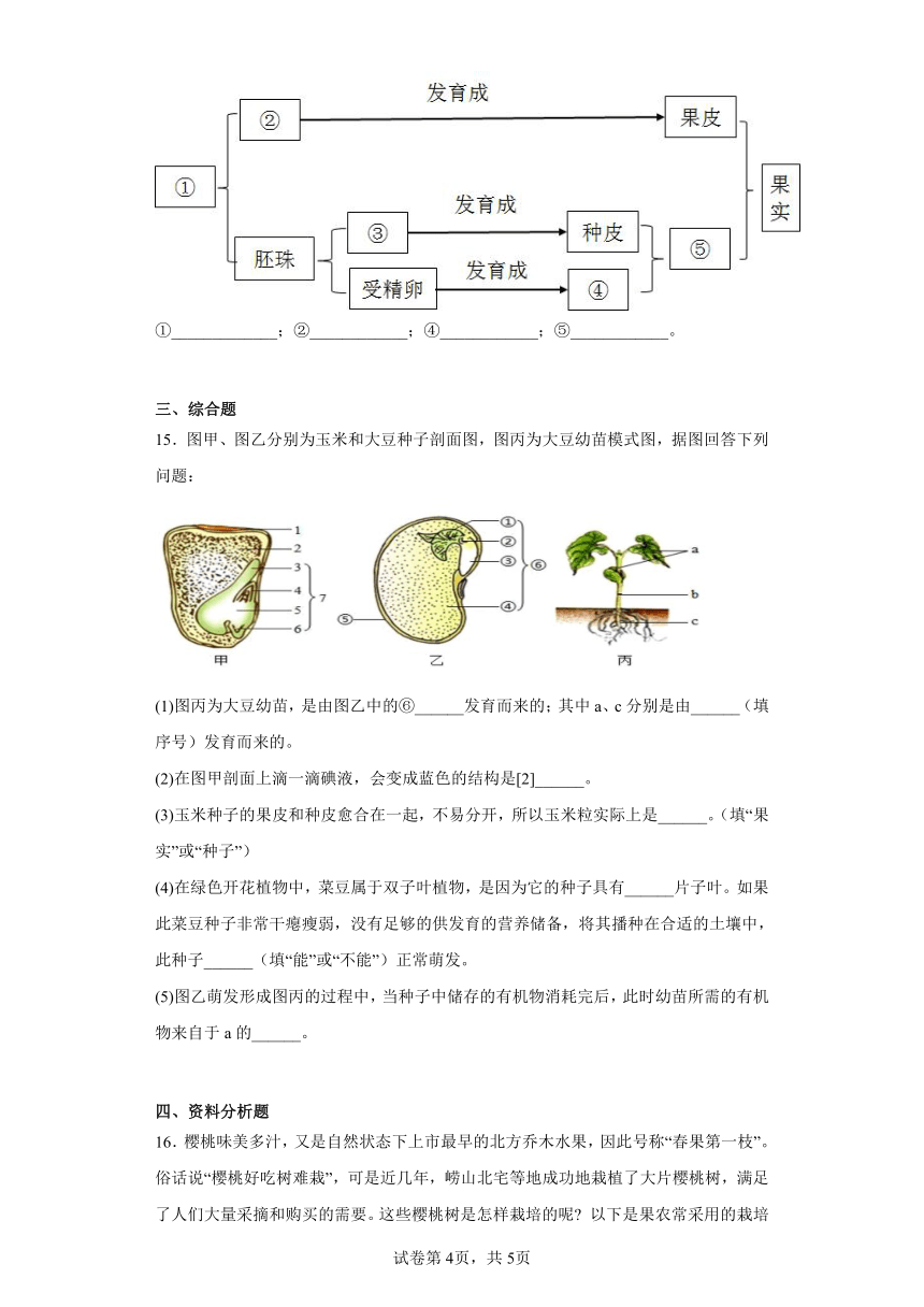7.19 植物的生殖和发育 同步练习（含解析）  苏科版八年级上册生物