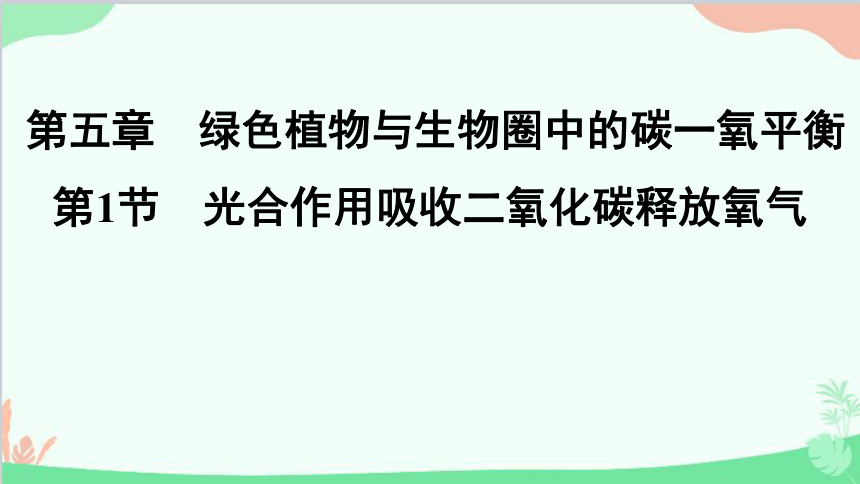 人教版生物七年级上册 3.5.1 光合作用吸收二氧化碳释放氧气 课件 (共28张PPT)