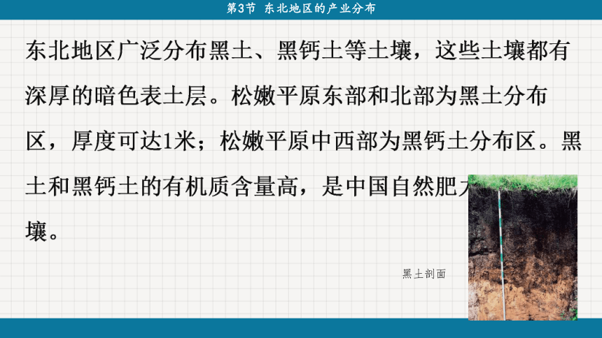 6.3 东北地区的产业分布-初中地理湘教版八年级下册课件(共40张PPT)
