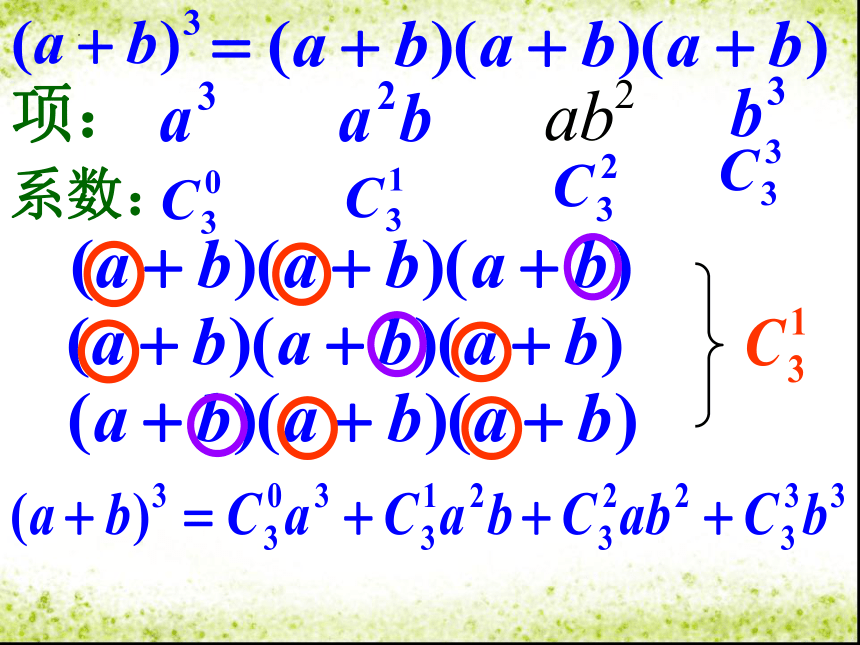 1.3.1二项式定理 课件（共14张PPT）