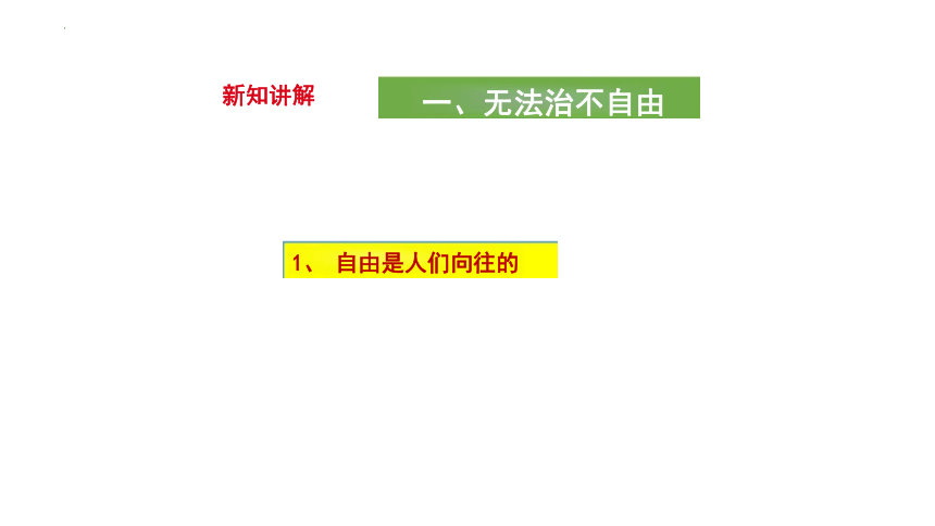 7.1 自由平等的真谛 课件(共22张PPT)-2023-2024学年统编版道德与法治八年级下册