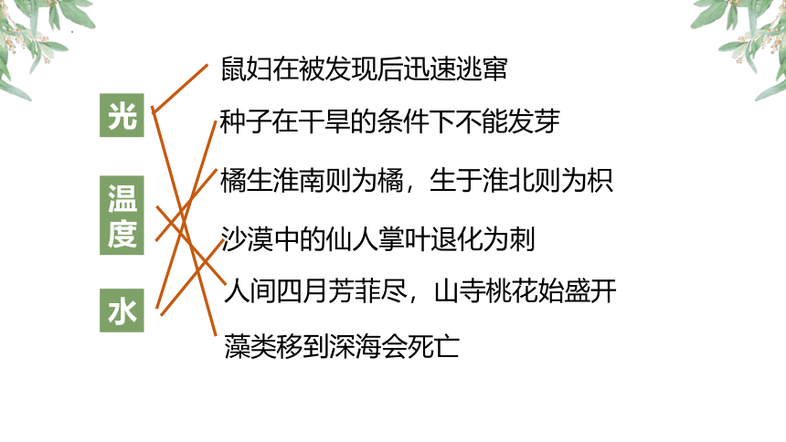 生物人教版七年级上册复习课件（一）(共22张PPT)（全册共3节复习课件）