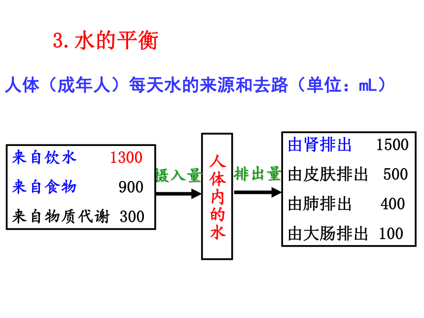 2020-2021学年高二生物人教版必修三2.3神经调节和体液调节的关系课件（32张ppt）