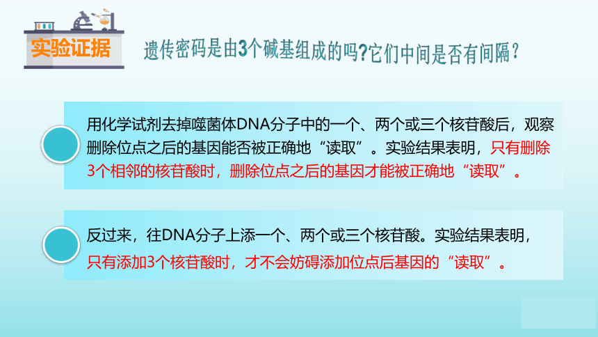 苏教版（2019）高中生物 必修二  2.3.1 DNA分子通过RNA指导蛋白质的合成 课件（共34张PPT）