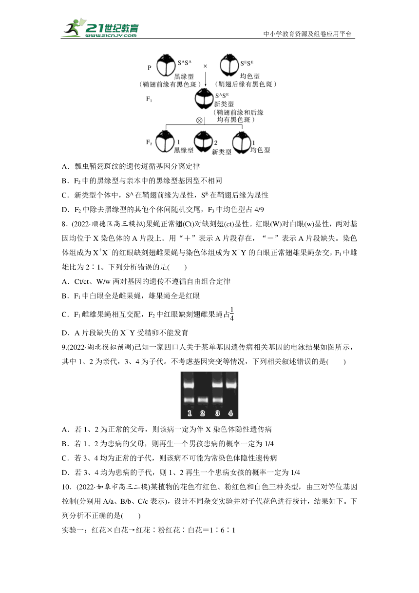 高考生物二轮专题强化训练6　遗传的基本规律和人类遗传病（含解析）