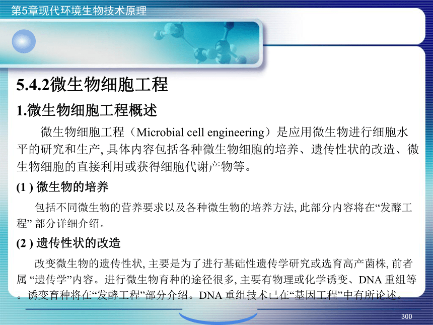 5.现代环境生物技术原理_11 课件(共29张PPT)- 《环境生物化学》同步教学（机工版·2020）