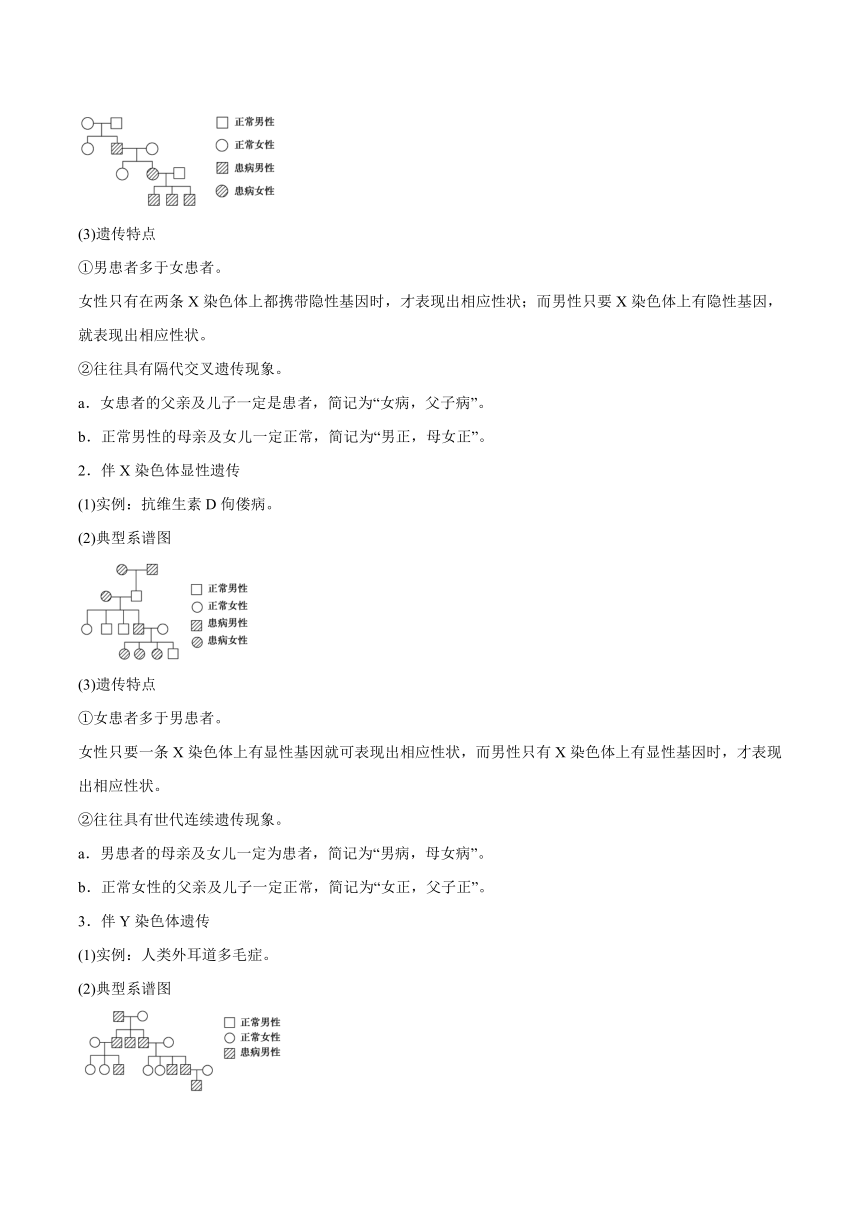 2.3伴性遗传学案