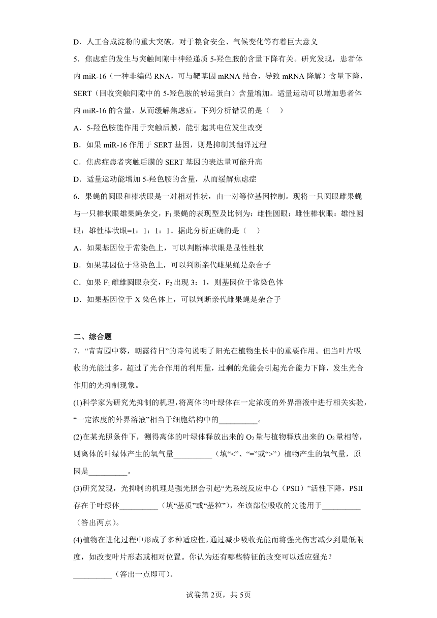 2023届四川省凉山彝族自治州高三下学期第三次诊断性检测理综生物试题（含答案）