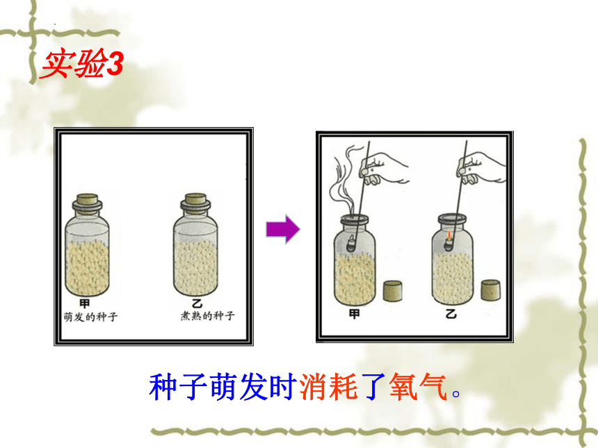 3.5.2绿色植物的呼吸作用课件(共29张PPT)2022-2023学年人教版生物七年级上册