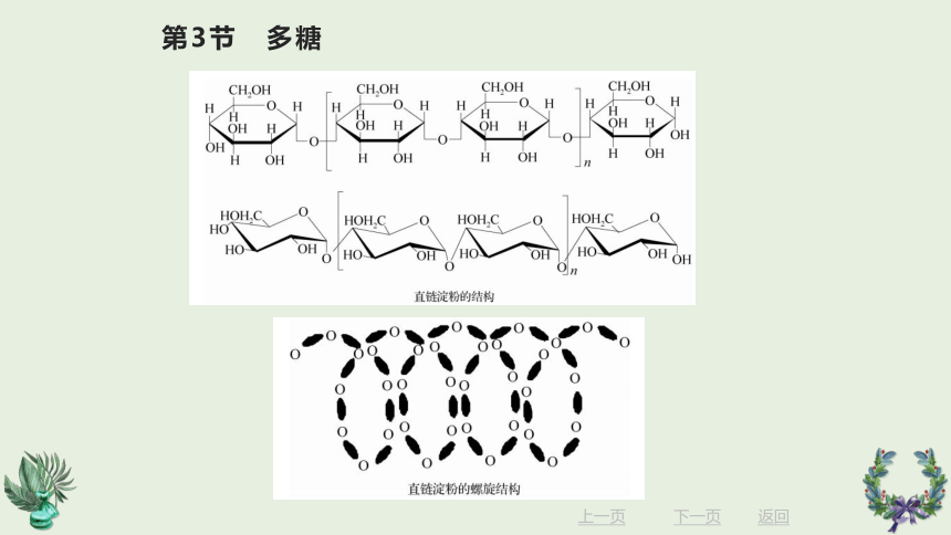 12.3 多糖 课件(共16张PPT)《有机化学》同步教学（北京理工出版社）