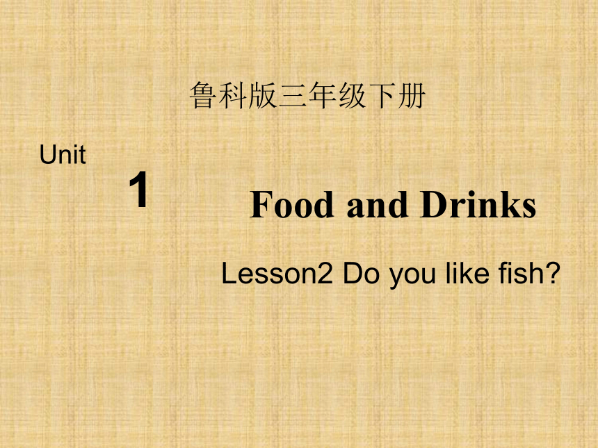 Unit 1 Lesson 2 Do you like fish？课件（12张PPT）