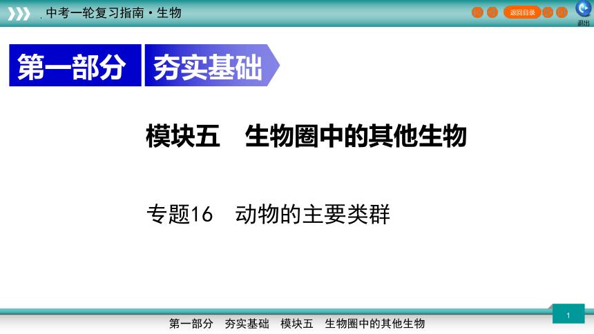 专题16 动物的主要类群-2023年新课标中考生物一轮复习课件（共46张PPT）