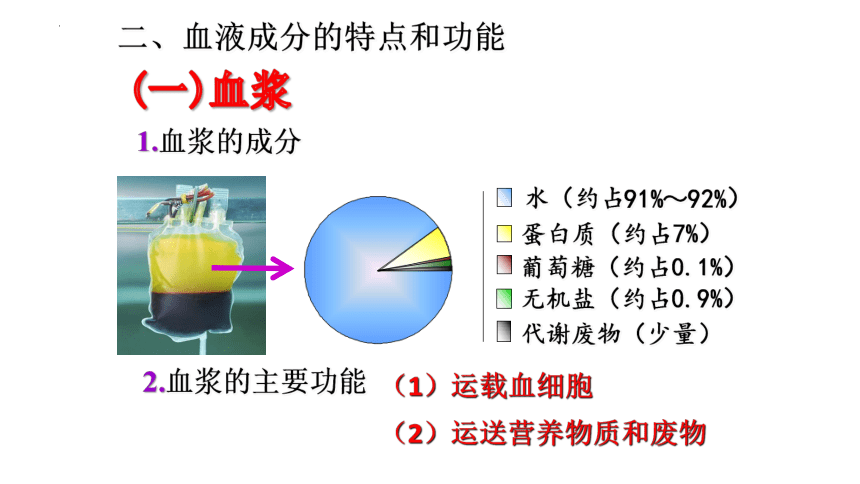 北师大版生物七年级下册 9.1.血液 （第1课时）课件(共24张PPT)