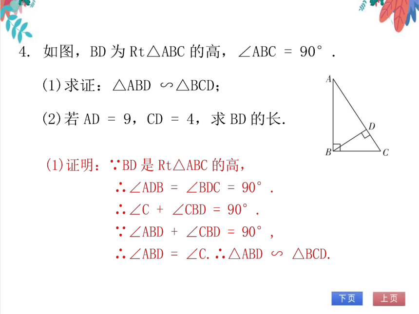 【北师大版】数学九年级（上）4.5 相似三角形判定定理的证明 习题课件