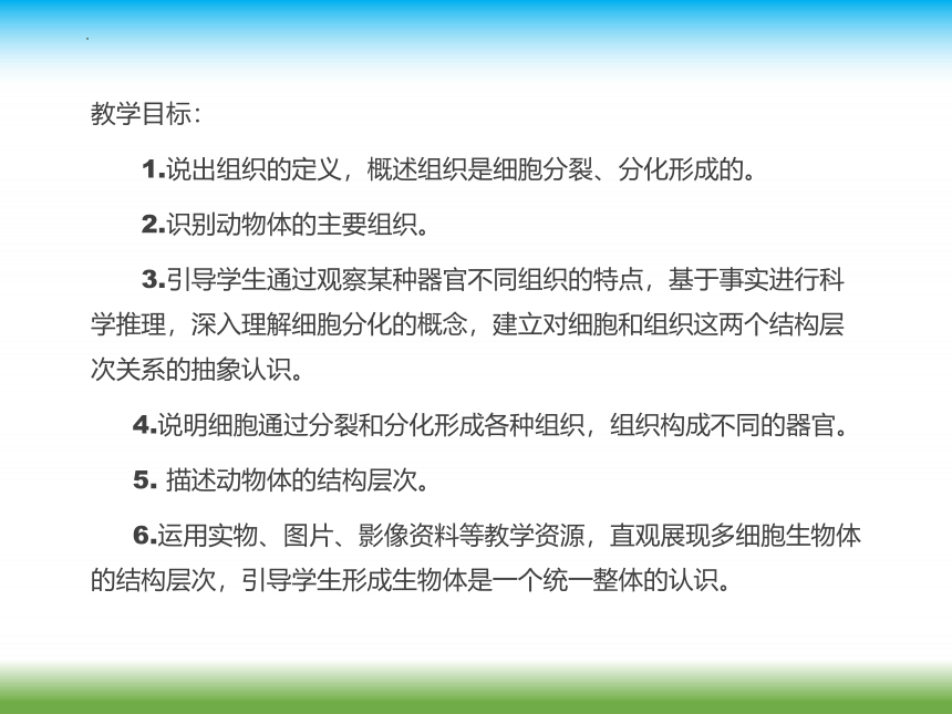 2022-2023 学年 人教版生物七年级上册 2.2.2 动物体的结构层次  课件 (共14张PPT)