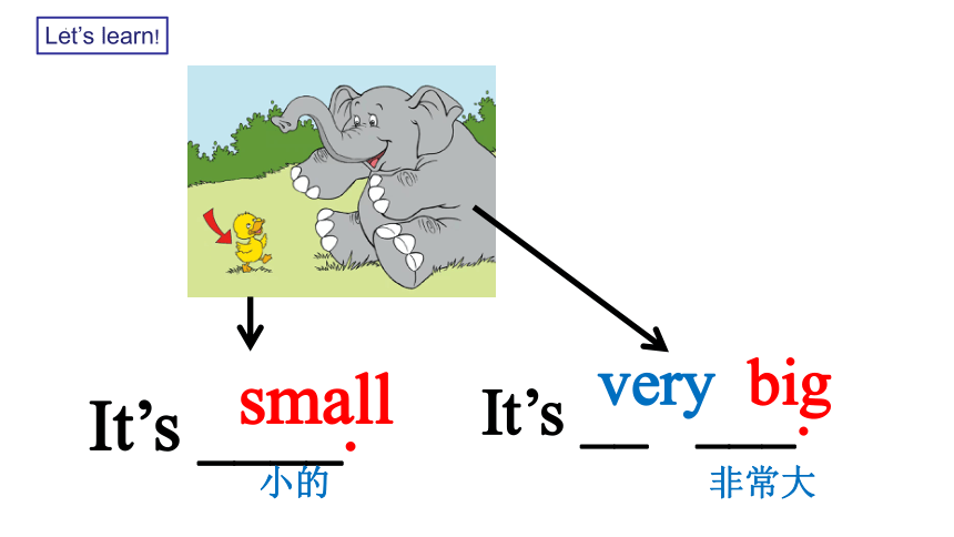 Module 6 They‘re little and cute课件(共24张PPT)