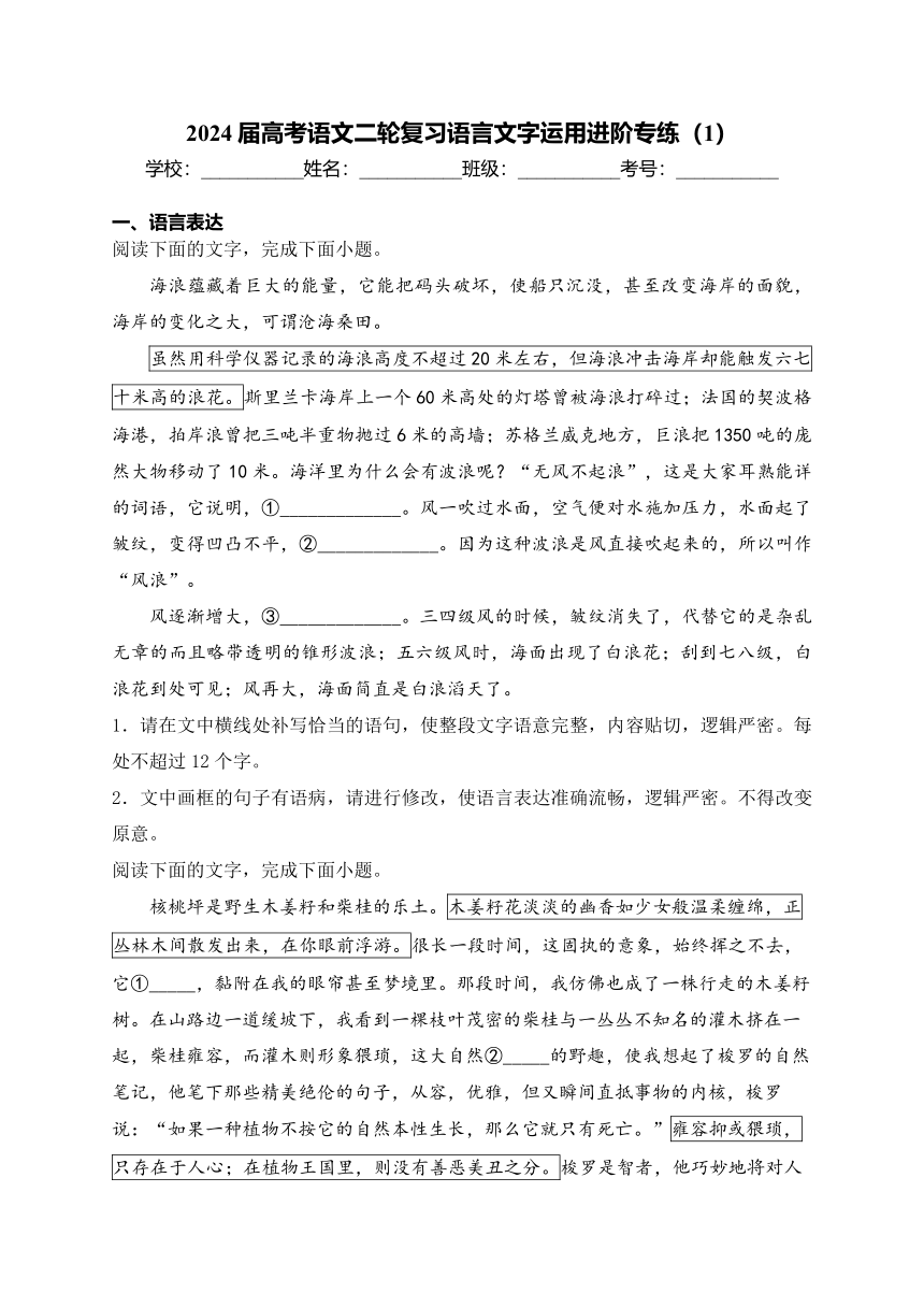 2024届高考语文二轮复习语言文字运用进阶专练（1）(含答案)