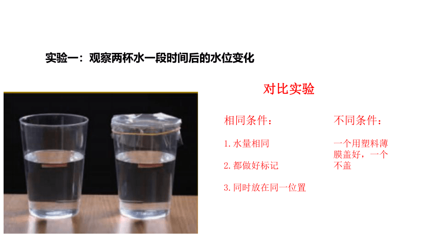 教科版（2017秋） 三年级上册1.1 水到哪里去了(课件 10张ppt)