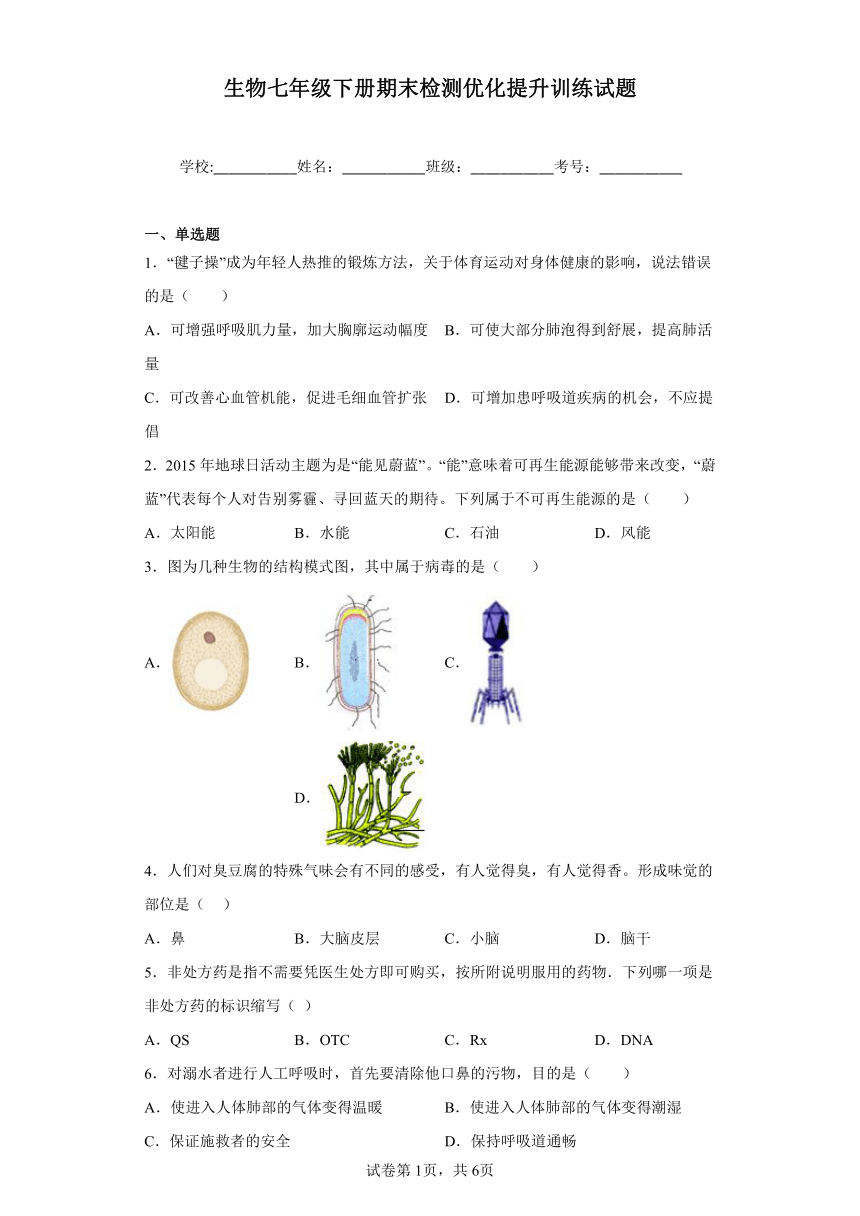 鲁科版生物七年级下册期末检测优化提升训练试题3（含解析）