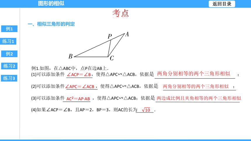 【大单元教学】鲁教版2023年八年级大单元 第九章图形的相似 课件（51张PPT）