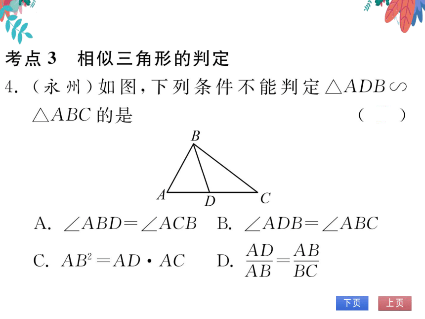 【华师大版】数学九年级上册 第23章 图形的相似 整合与提高 习题课件