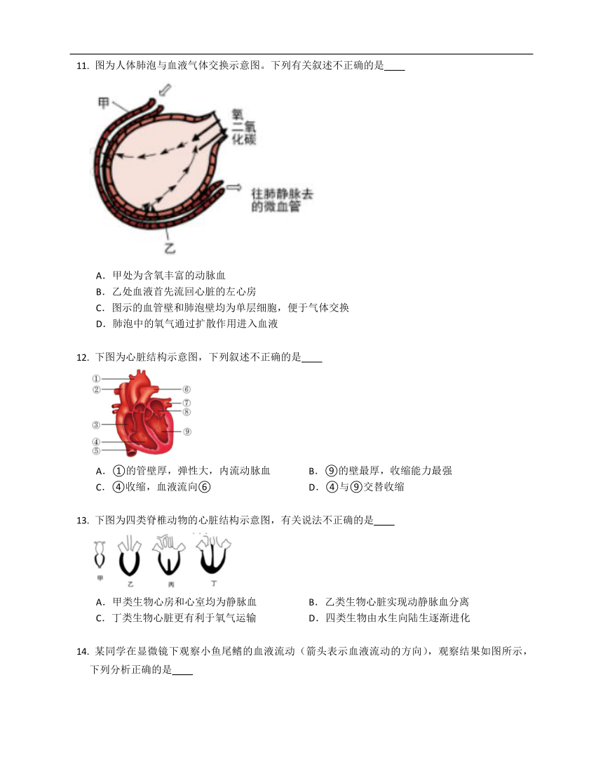 第四章 人体内物质的运输 练习（含解析）