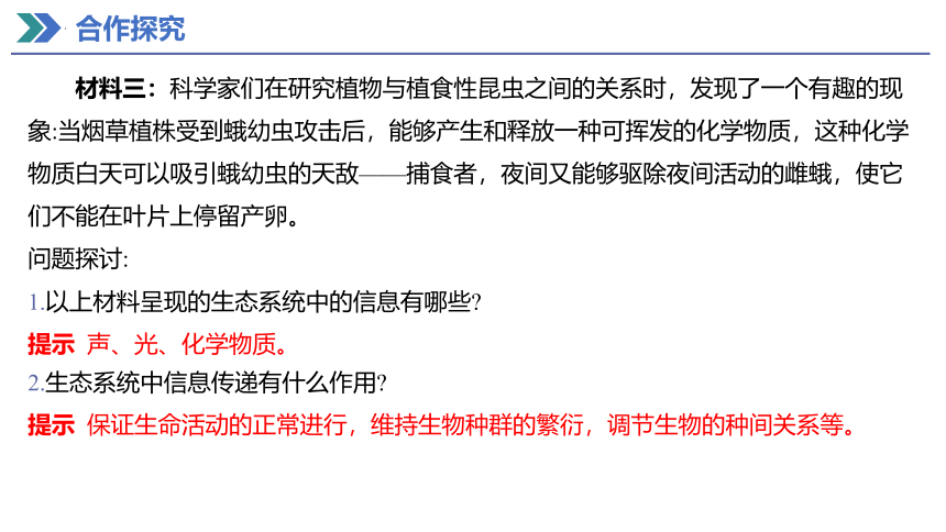 3.4生态系统的信息传递课件 (共28张PPT)人教版（2019）选择性必修2