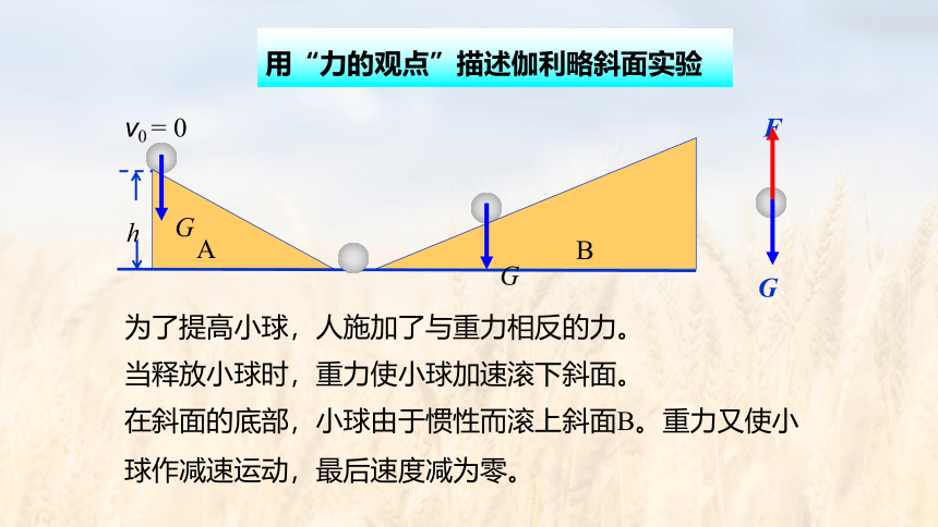 8.4 机械能守恒定律-高中物理 人教版 必修二(共24张PPT)