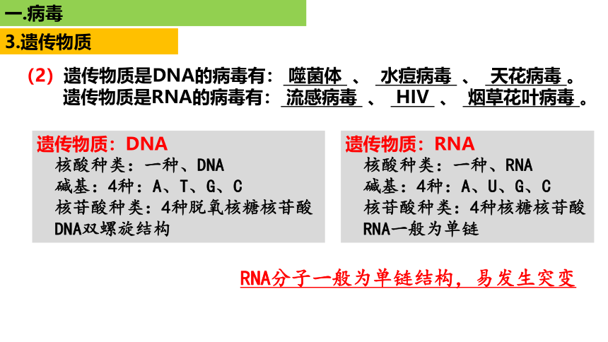 新人教必修1专题复习课件：01 病毒(共86张PPT)