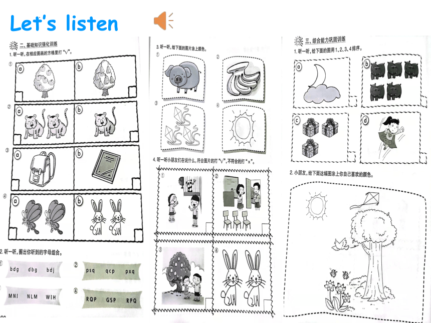 Module 1 Unit 1 What can you see ？ 课件(共13张PPT)