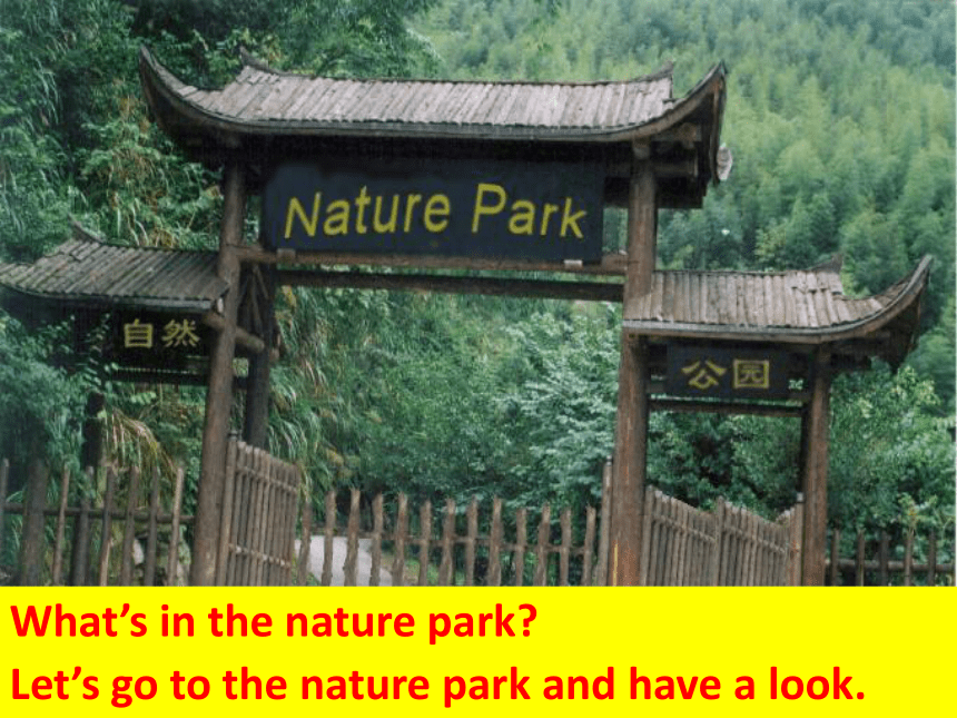 Unit 6 In a nature  park Part A Let’s talk& Let’s try课件(共16张PPT)