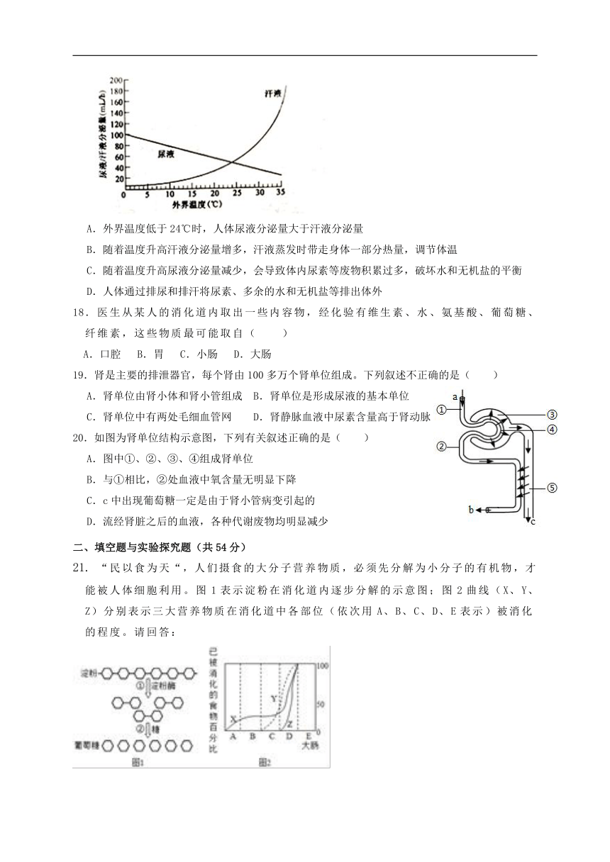 浙教版科学九年级上册（十九）第4章 代谢与平衡 单元练习（含答案）