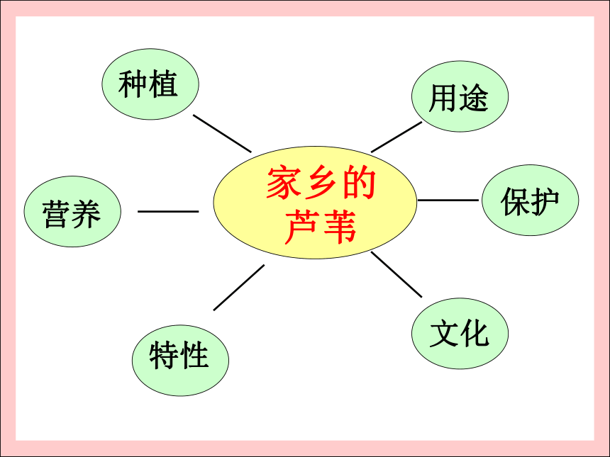 学会采访（课件）综合实践活动四年级上册   全国通用（11张）