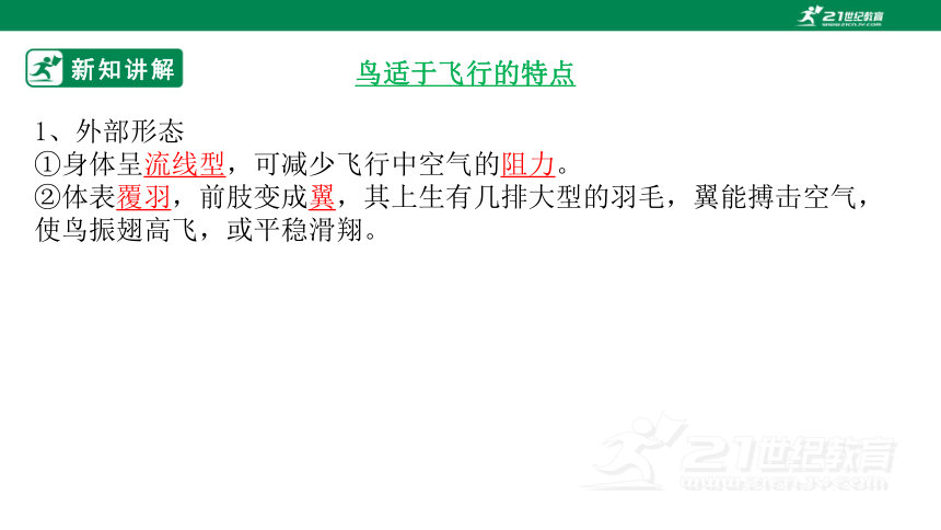 人教版5.1.6 鸟-2022-2023学年八年级生物上册 同步课件(共30张PPT)