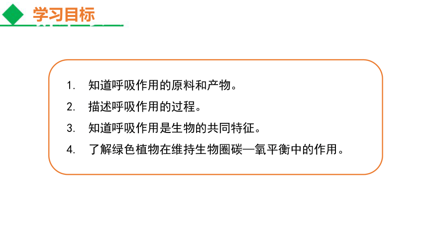 2021--2022学年人教版生物七年级上册 3.5.2 绿色植物的呼吸作用课件（共21张PPT）