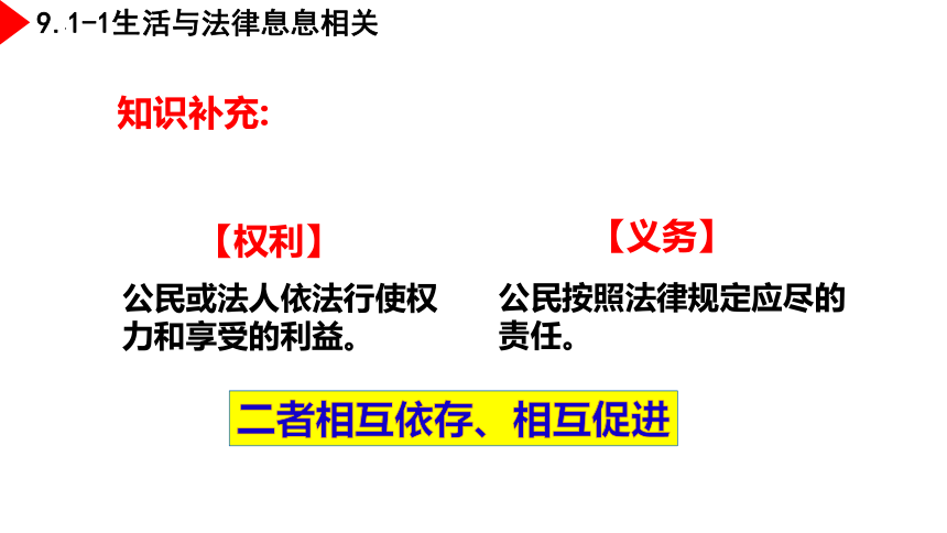 9.1 生活需要法律 课件（23张PPT）+内嵌视频