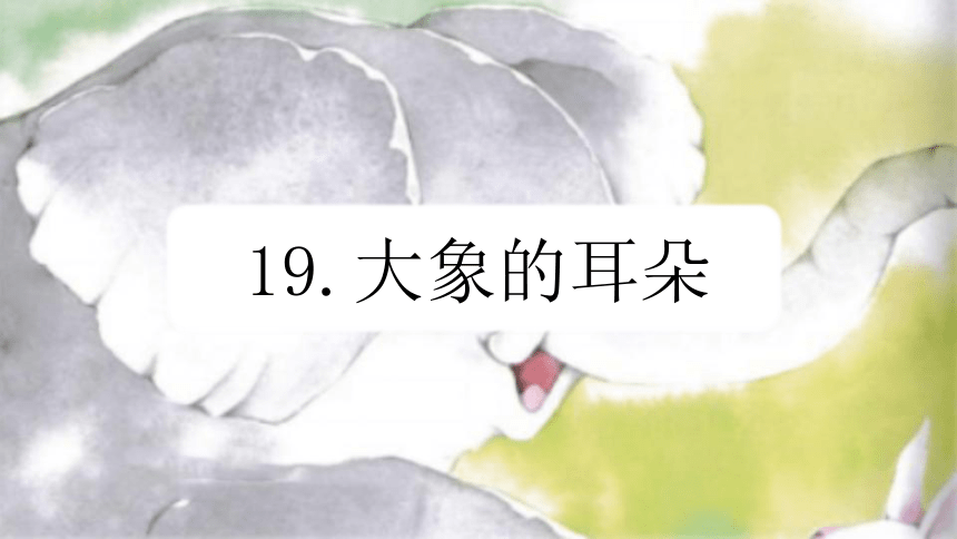 19 大象的耳朵 （课件）(共17张PPT)