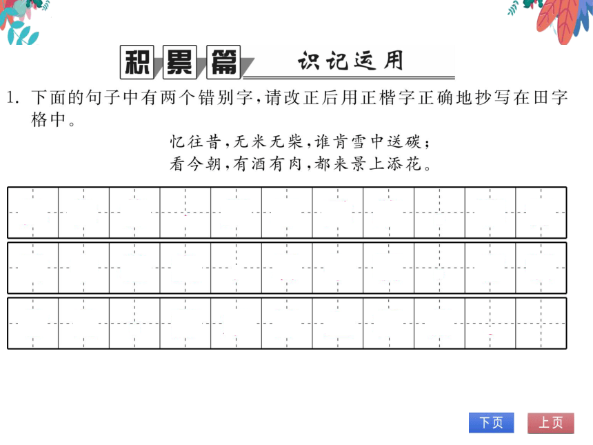 【统编版】语文九年级上册 23 范进中举 习题课件（通用版）