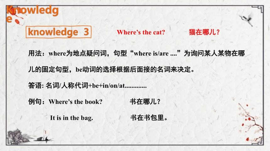 Module 8 Unit 2 Where's the cat课件（共14张PPT)