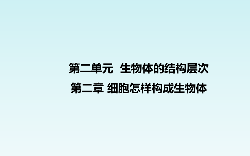 人教版七年级生物上册第二单元_第二章 细胞怎样构成生物体 复习课件（共27张PPT）