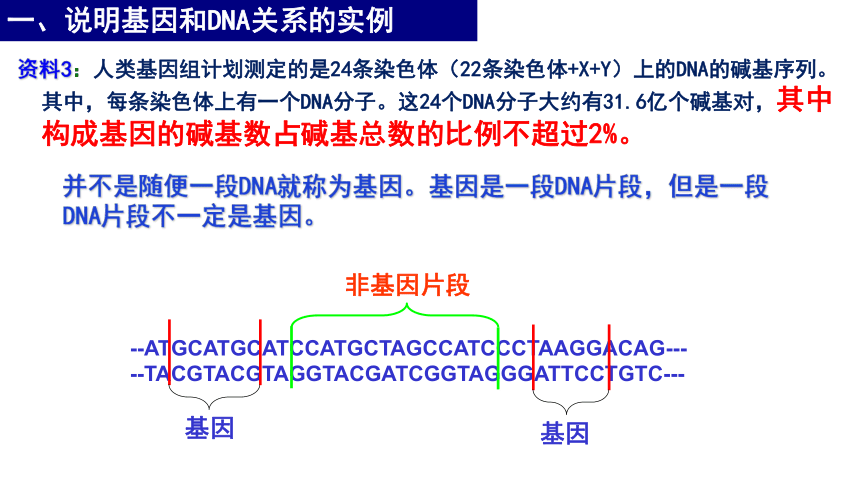 2020——2021学年高一下学期生物人教版必修2  3.4基因是有遗传效应的DNA片段  课件(共29张PPT)