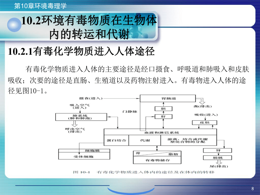 10.环境毒理学 课件(共63张PPT)- 《环境生物化学》同步教学（机工版·2020）