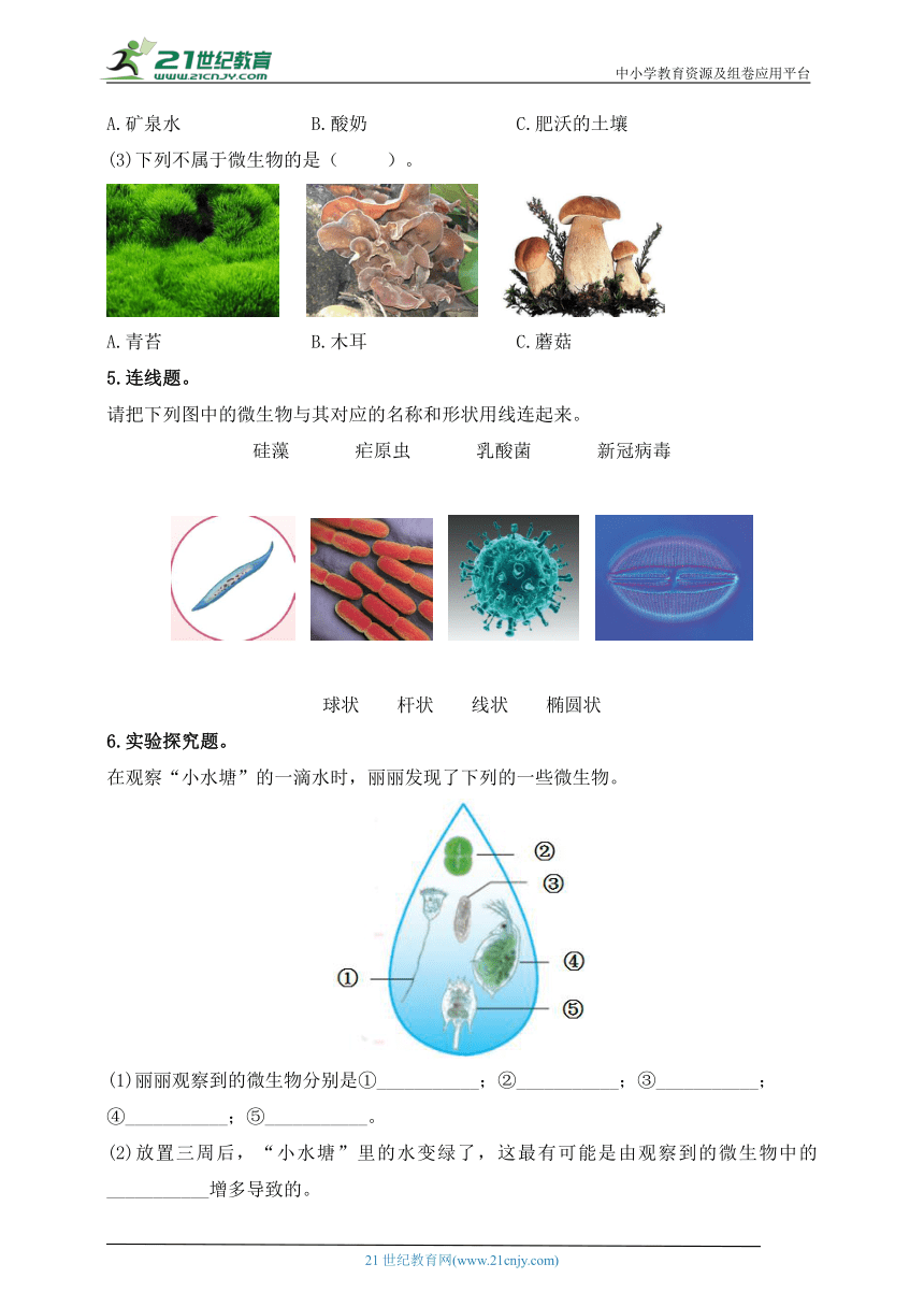 苏教版（2017秋）五年级科学下册1.2 微小的生命体 同步练习（含答案）