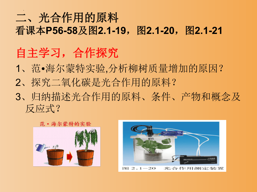 2.1.3绿色植物的光合作用（第二课时）课件(共30张PPT)2023-2024学年济南版生物七年级上册